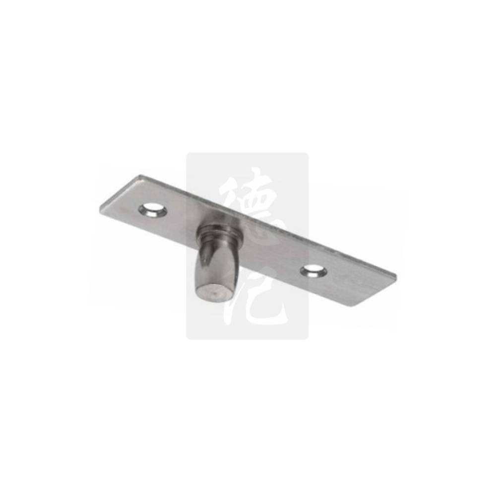 Accord 8815 SS Fixed Top Pivot