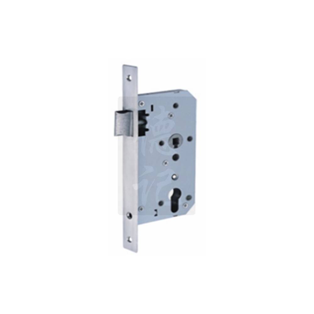 Accord 5572P Mortise Passage Lock