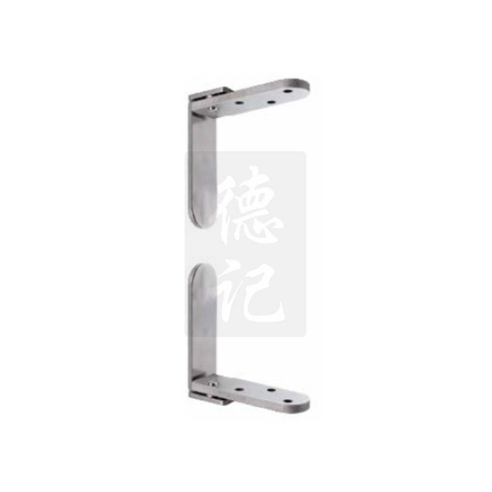 Accord W307 SS Pivot Hinges