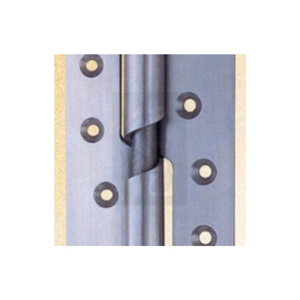 Nikon 102x76mm SS Falling / Rising Hinge