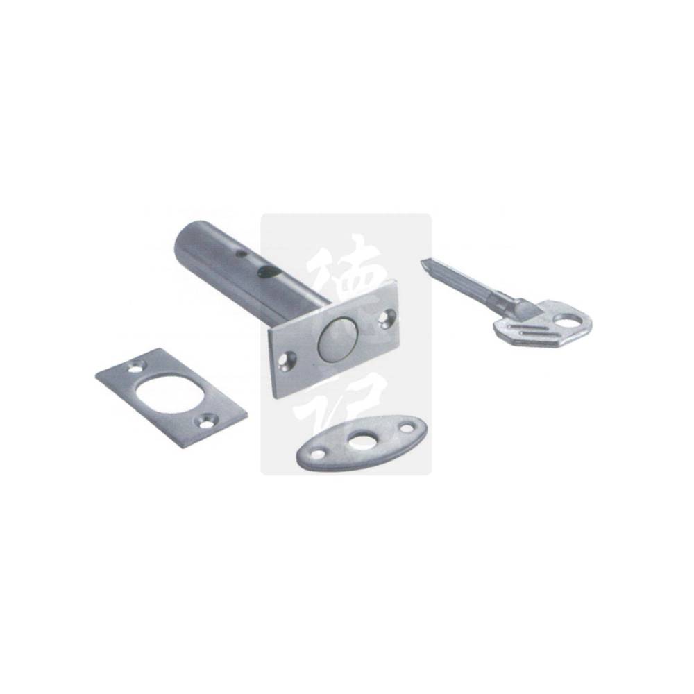 Accord SN Security Bolt c/w Key